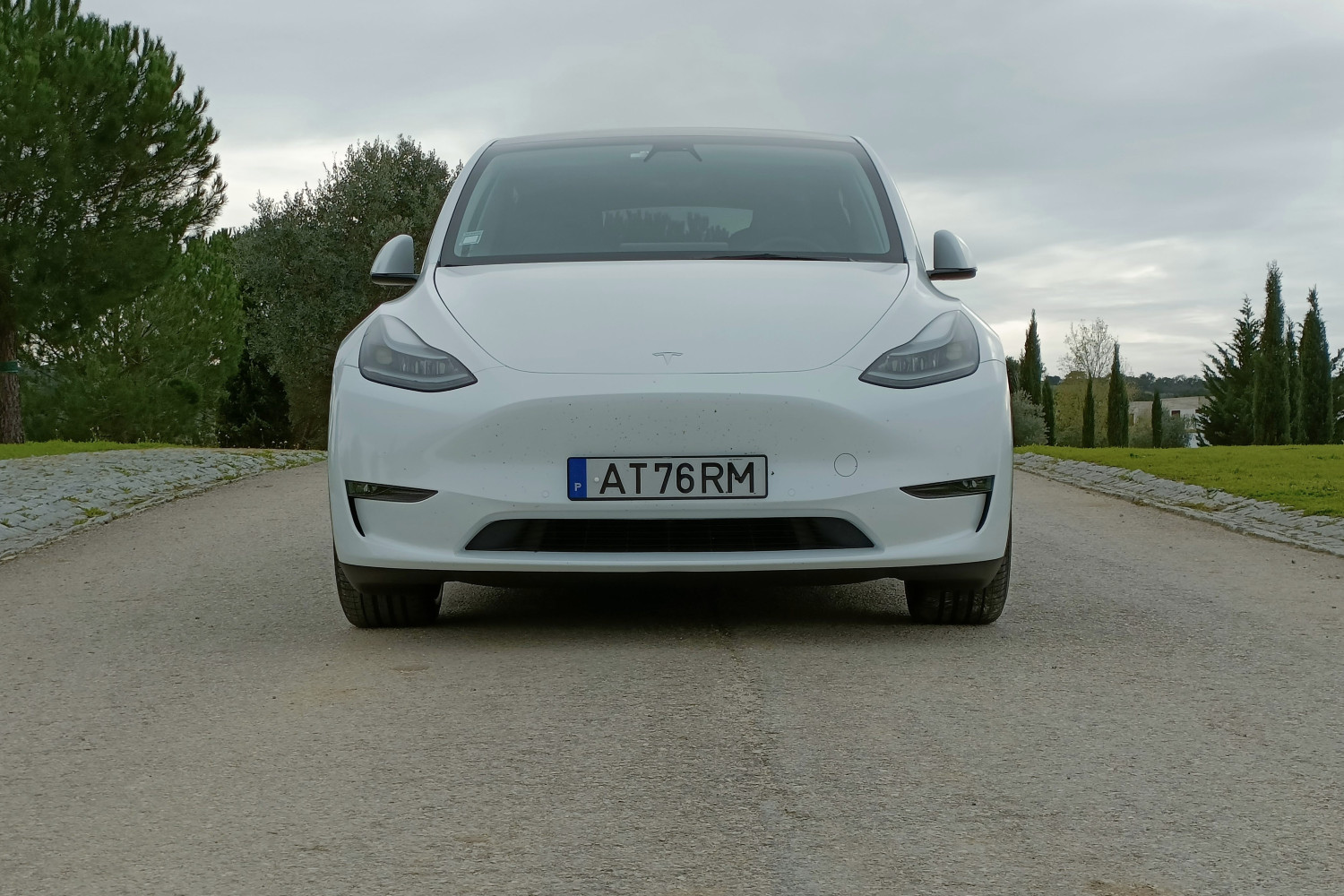 Tesla Model Y Performance