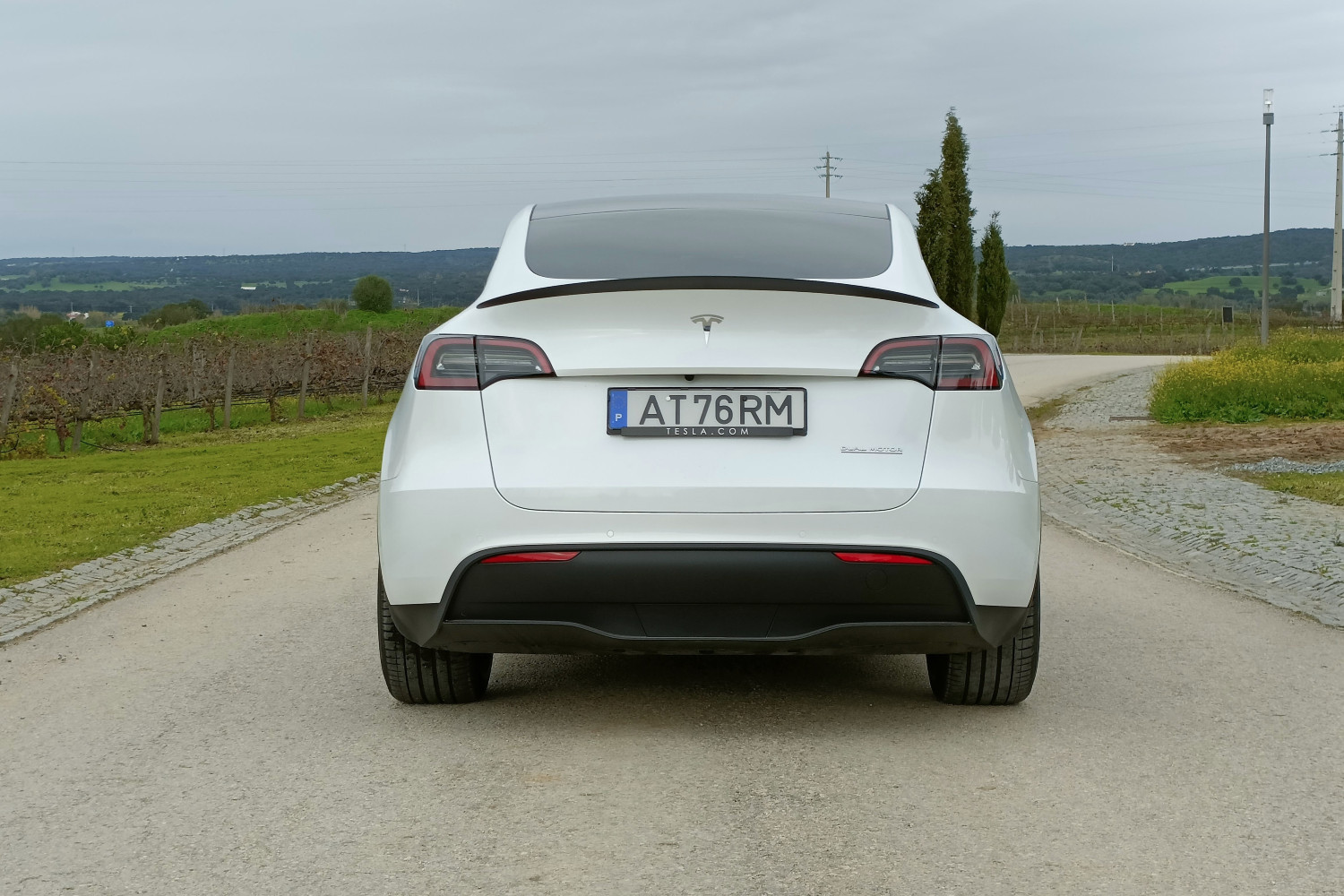 Tesla Model Y Performance